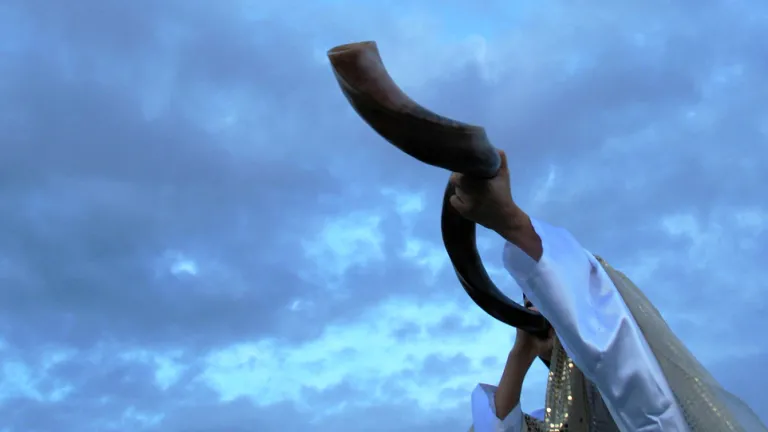 God instructed ancient Israel in the appropriate use of trumpets—a hollow animal horn, known as a shofar, and metal instruments—to communicate important messages. A person blowing a shofar.
