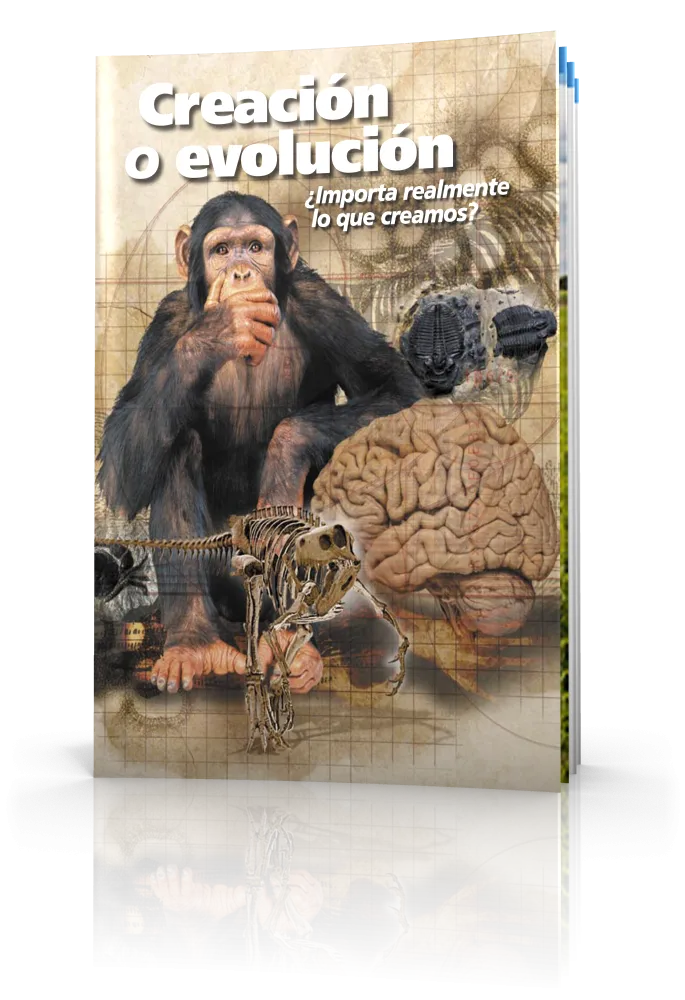 Creación o evolución ¿Importa realmente lo que creamos?